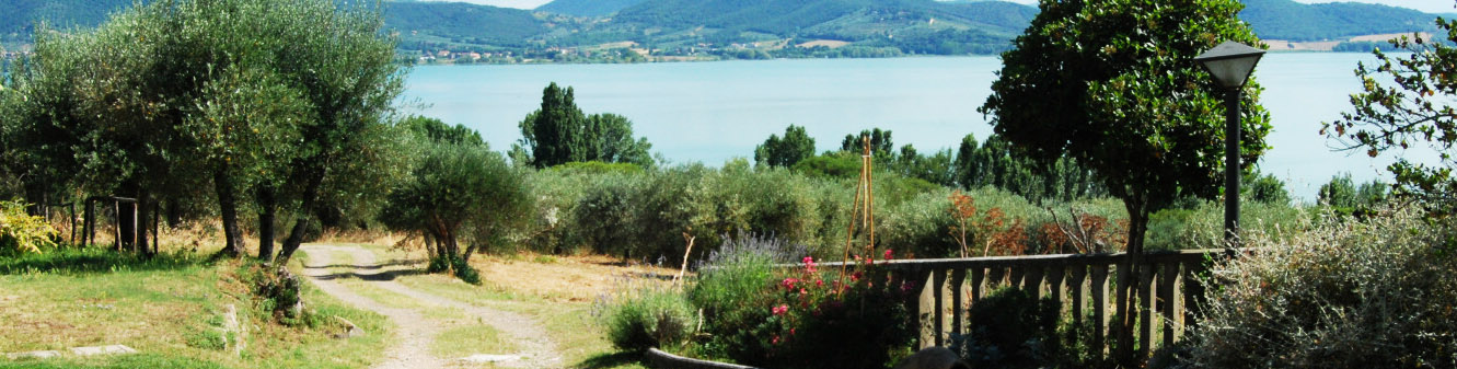 Escursioni Isole Trasimeno  Attività